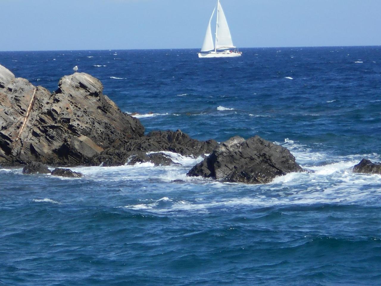 Le Case Punta Negra Stintino Zewnętrze zdjęcie
